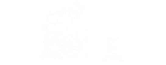 adopta-a-un-jubilado-heroes