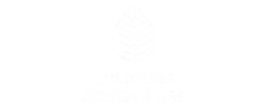 bosques-sostenibles-ecosistema