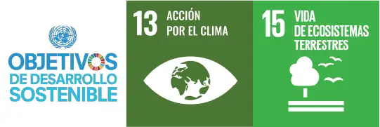 bosque sostenible desarrollo sostenibles nubens