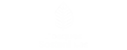bosques-sostenibles-ecosistema