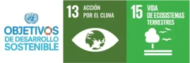 bosque sostenible desarrollo sostenibles nubens